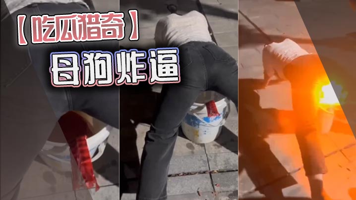 91精品对白一区国产伦-HD1280版视频全集